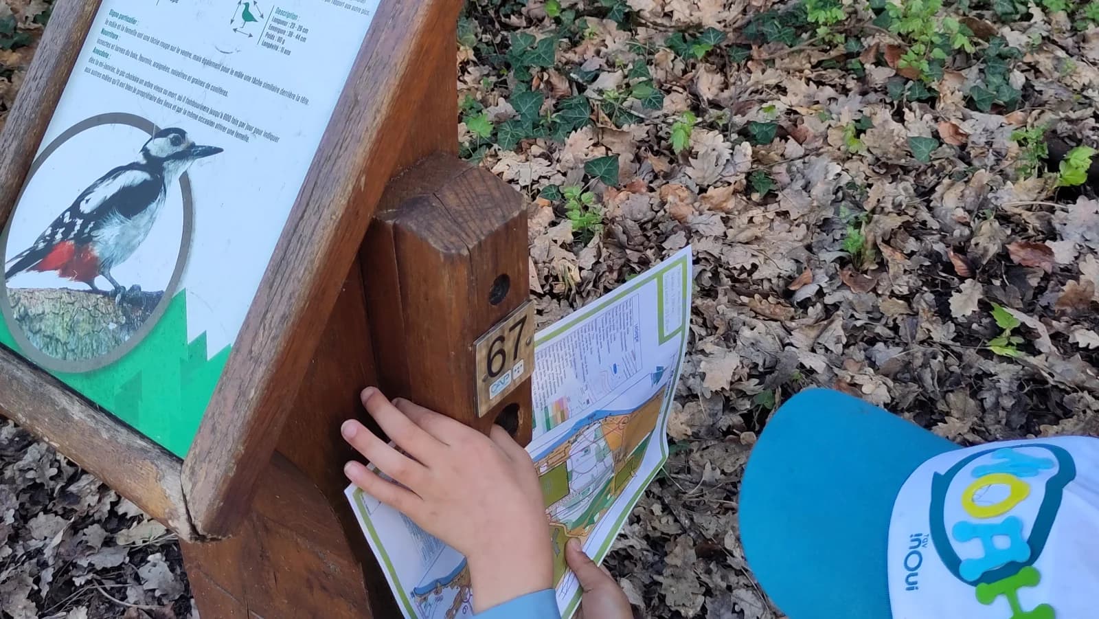 Top des balades ludiques et gratuites en Indre-et-Loire : le guide ultime en famille !